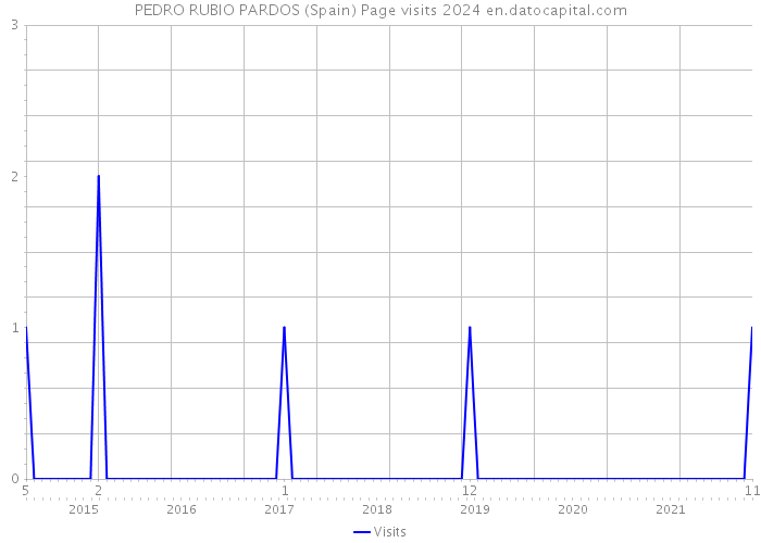 PEDRO RUBIO PARDOS (Spain) Page visits 2024 