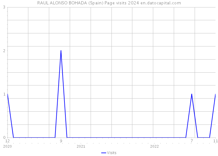 RAUL ALONSO BOHADA (Spain) Page visits 2024 