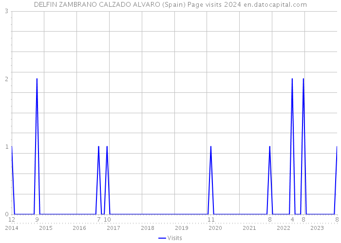 DELFIN ZAMBRANO CALZADO ALVARO (Spain) Page visits 2024 
