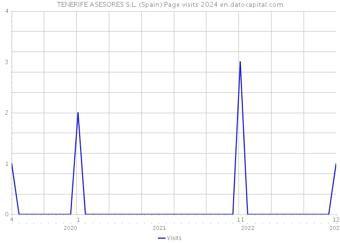 TENERIFE ASESORES S.L. (Spain) Page visits 2024 