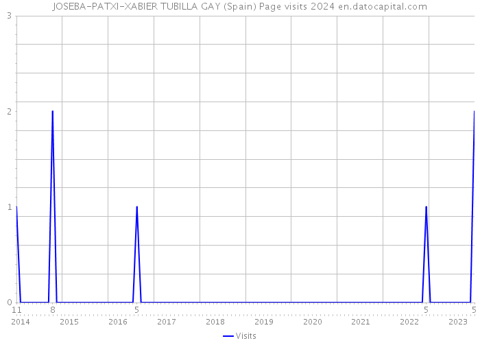 JOSEBA-PATXI-XABIER TUBILLA GAY (Spain) Page visits 2024 