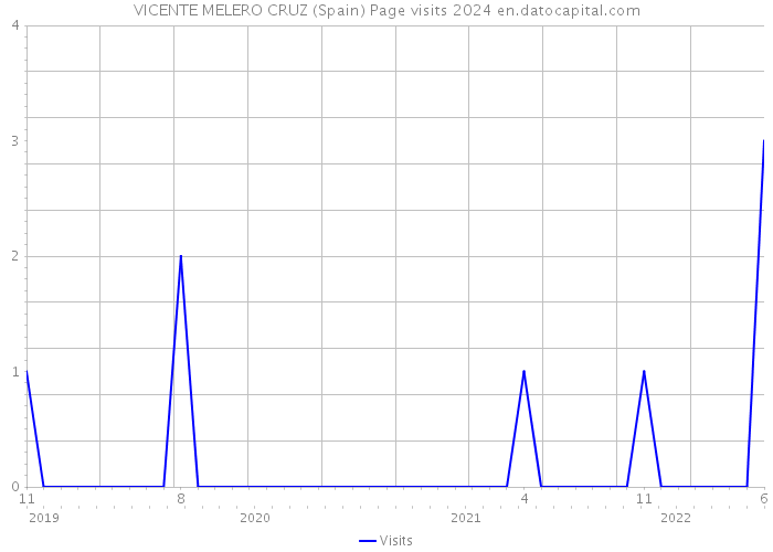 VICENTE MELERO CRUZ (Spain) Page visits 2024 