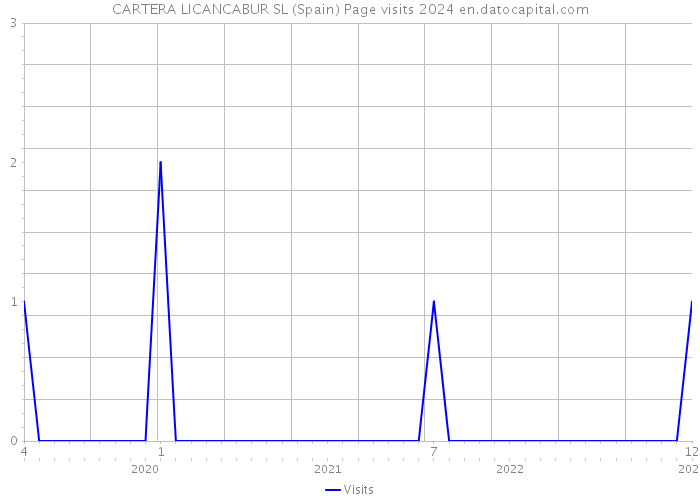 CARTERA LICANCABUR SL (Spain) Page visits 2024 