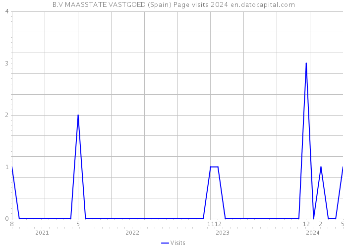 B.V MAASSTATE VASTGOED (Spain) Page visits 2024 