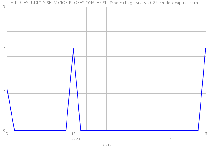 M.P.R. ESTUDIO Y SERVICIOS PROFESIONALES SL. (Spain) Page visits 2024 