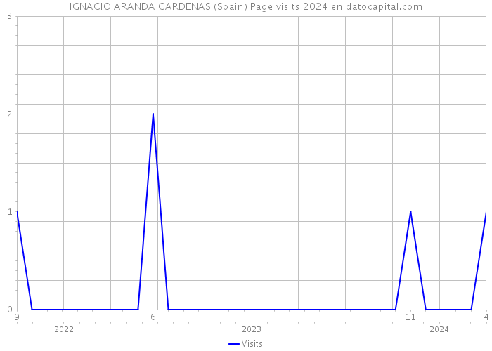 IGNACIO ARANDA CARDENAS (Spain) Page visits 2024 