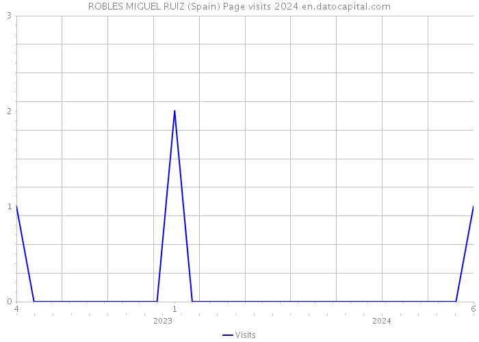 ROBLES MIGUEL RUIZ (Spain) Page visits 2024 