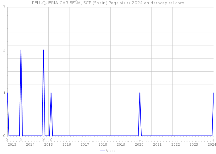 PELUQUERIA CARIBEÑA, SCP (Spain) Page visits 2024 