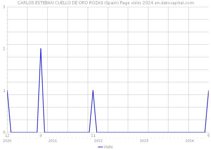 CARLOS ESTEBAN CUELLO DE ORO ROZAS (Spain) Page visits 2024 