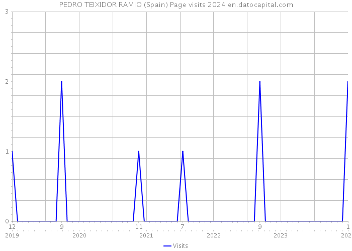 PEDRO TEIXIDOR RAMIO (Spain) Page visits 2024 