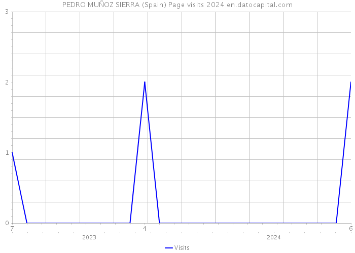 PEDRO MUÑOZ SIERRA (Spain) Page visits 2024 