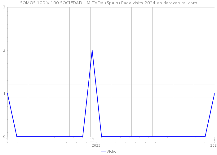 SOMOS 100 X 100 SOCIEDAD LIMITADA (Spain) Page visits 2024 