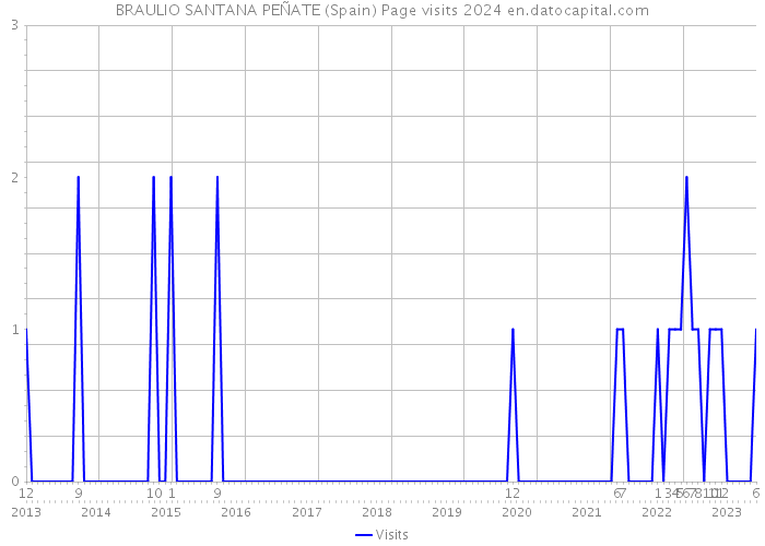 BRAULIO SANTANA PEÑATE (Spain) Page visits 2024 