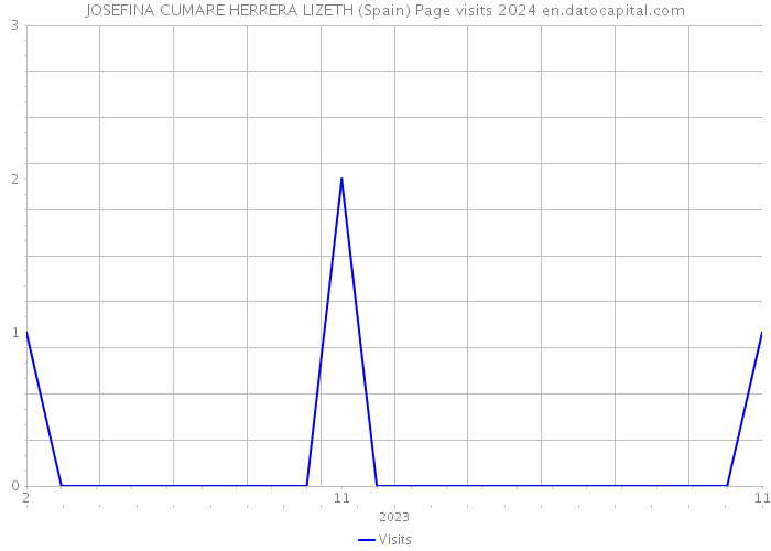 JOSEFINA CUMARE HERRERA LIZETH (Spain) Page visits 2024 