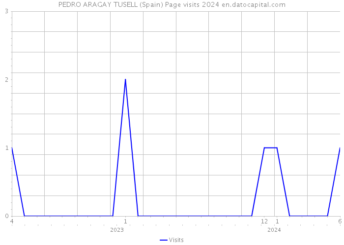 PEDRO ARAGAY TUSELL (Spain) Page visits 2024 