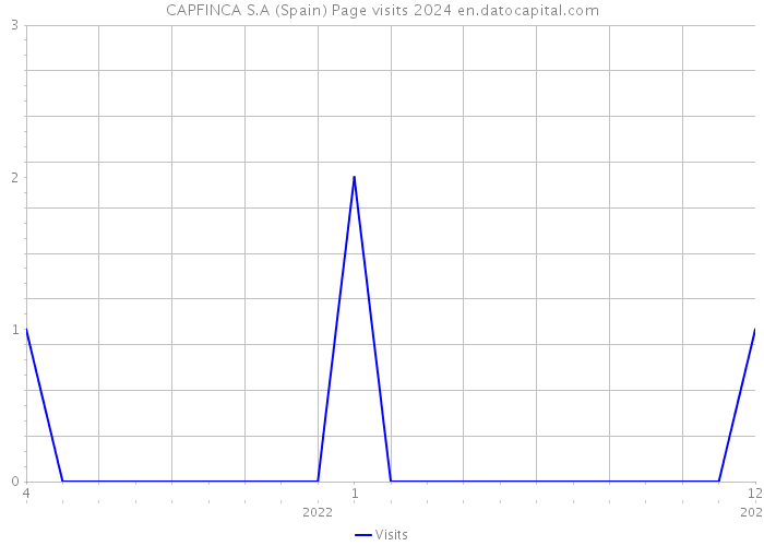 CAPFINCA S.A (Spain) Page visits 2024 