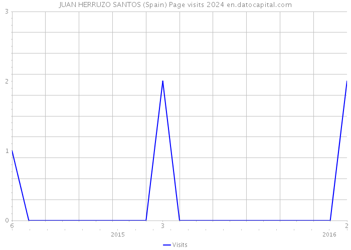 JUAN HERRUZO SANTOS (Spain) Page visits 2024 