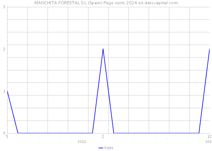 MANCHITA FORESTAL S.L (Spain) Page visits 2024 