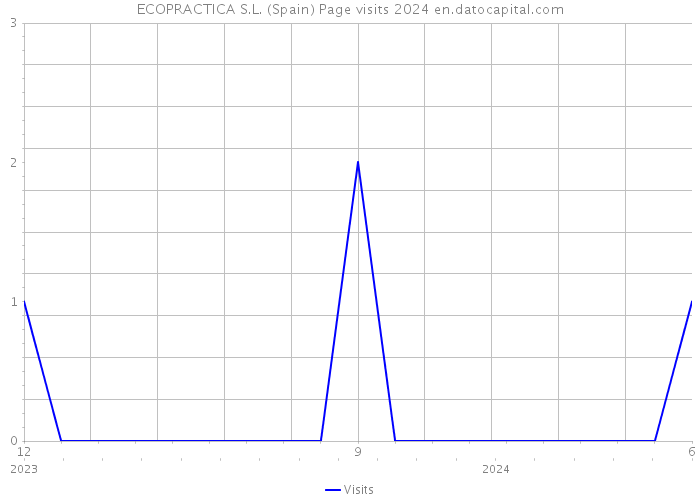 ECOPRACTICA S.L. (Spain) Page visits 2024 
