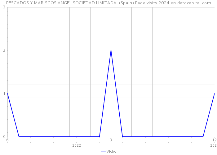 PESCADOS Y MARISCOS ANGEL SOCIEDAD LIMITADA. (Spain) Page visits 2024 