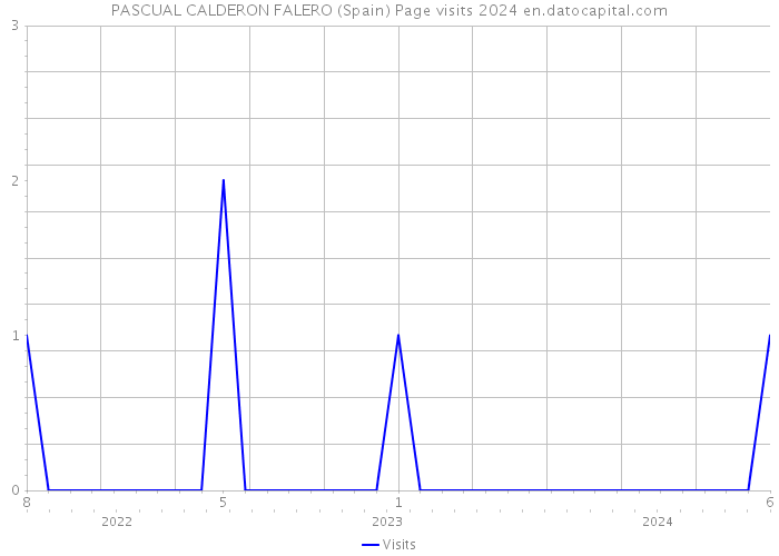 PASCUAL CALDERON FALERO (Spain) Page visits 2024 