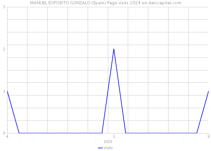 MANUEL EXPOSITO GONZALO (Spain) Page visits 2024 