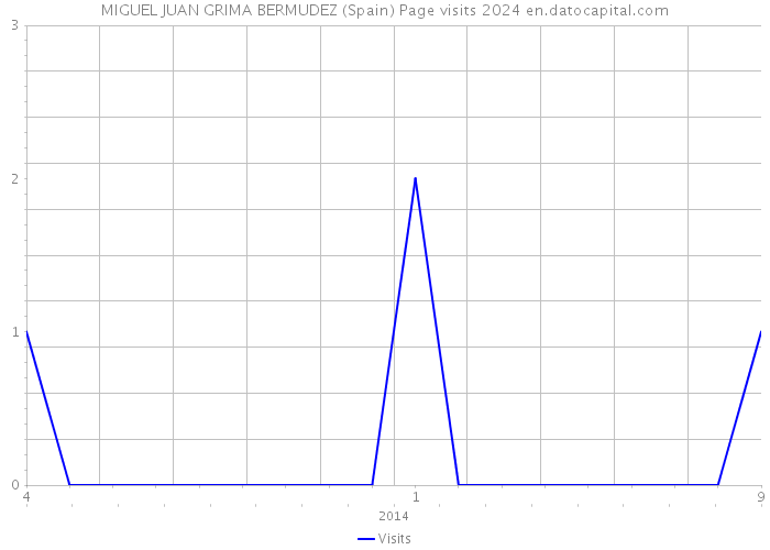 MIGUEL JUAN GRIMA BERMUDEZ (Spain) Page visits 2024 