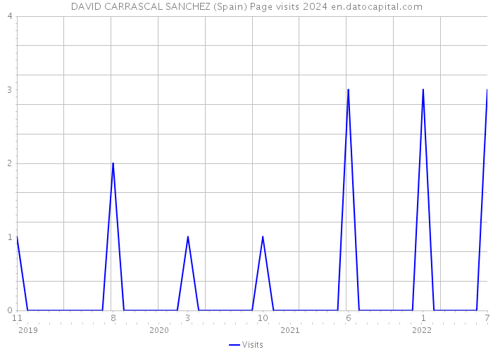DAVID CARRASCAL SANCHEZ (Spain) Page visits 2024 