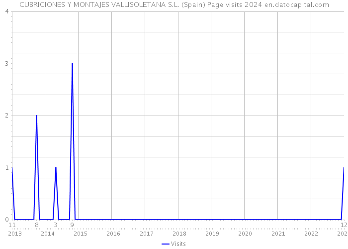 CUBRICIONES Y MONTAJES VALLISOLETANA S.L. (Spain) Page visits 2024 