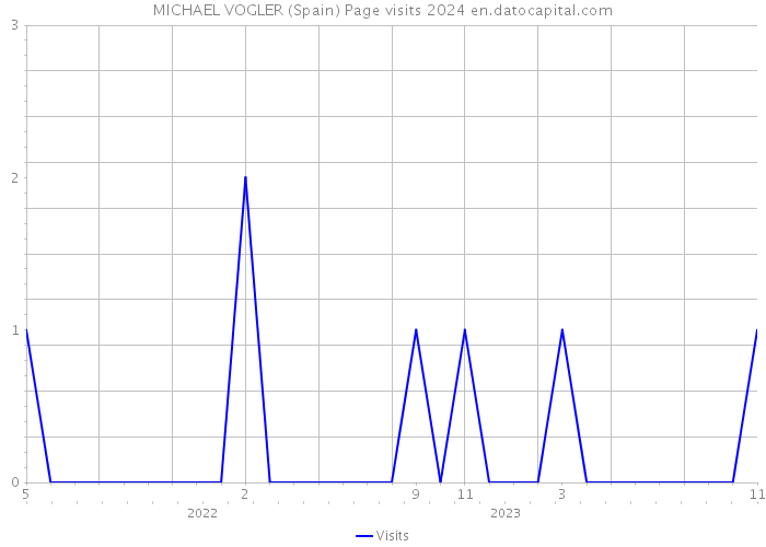 MICHAEL VOGLER (Spain) Page visits 2024 