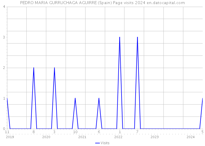 PEDRO MARIA GURRUCHAGA AGUIRRE (Spain) Page visits 2024 