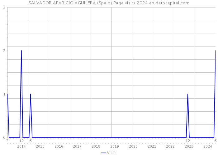 SALVADOR APARICIO AGUILERA (Spain) Page visits 2024 