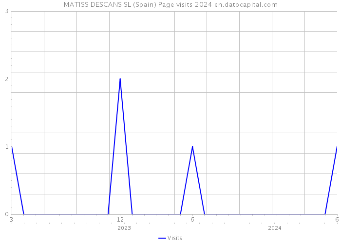 MATISS DESCANS SL (Spain) Page visits 2024 