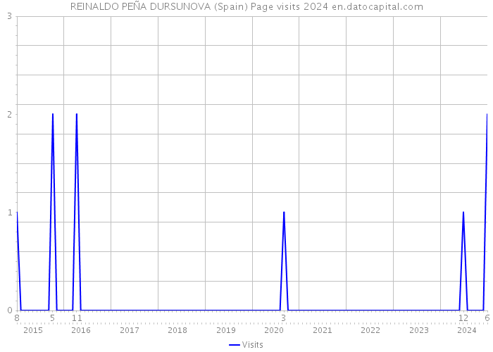 REINALDO PEÑA DURSUNOVA (Spain) Page visits 2024 