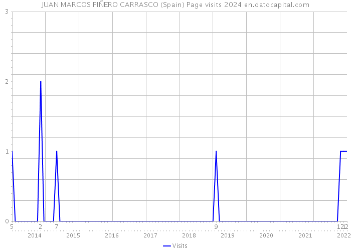 JUAN MARCOS PIÑERO CARRASCO (Spain) Page visits 2024 