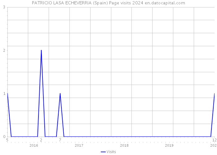 PATRICIO LASA ECHEVERRIA (Spain) Page visits 2024 