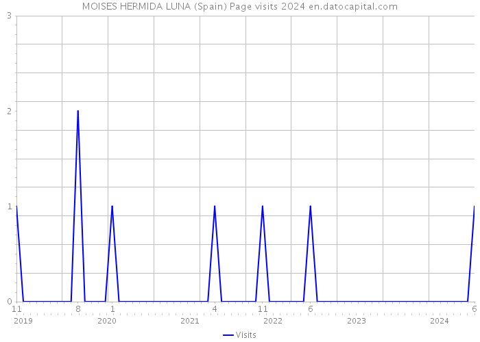 MOISES HERMIDA LUNA (Spain) Page visits 2024 