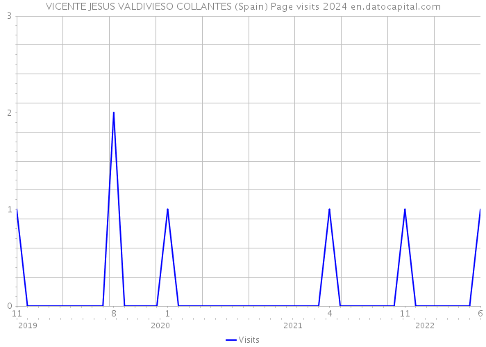 VICENTE JESUS VALDIVIESO COLLANTES (Spain) Page visits 2024 