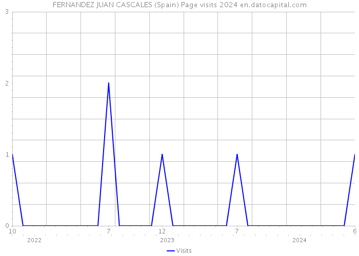 FERNANDEZ JUAN CASCALES (Spain) Page visits 2024 