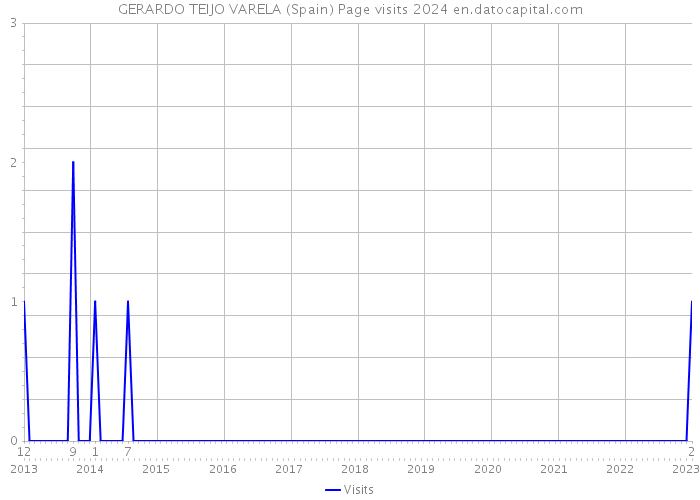 GERARDO TEIJO VARELA (Spain) Page visits 2024 