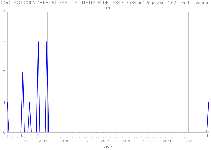 COOP AGRICOLA DE RESPONSABILIDAD LIMITADA DE TASARTE (Spain) Page visits 2024 