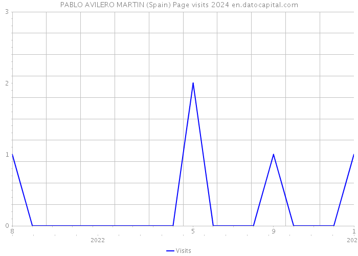 PABLO AVILERO MARTIN (Spain) Page visits 2024 