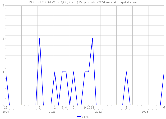 ROBERTO CALVO ROJO (Spain) Page visits 2024 