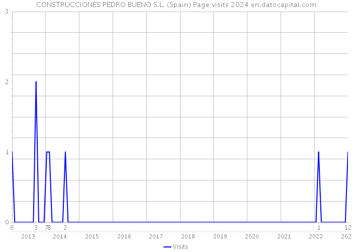 CONSTRUCCIONES PEDRO BUENO S.L. (Spain) Page visits 2024 