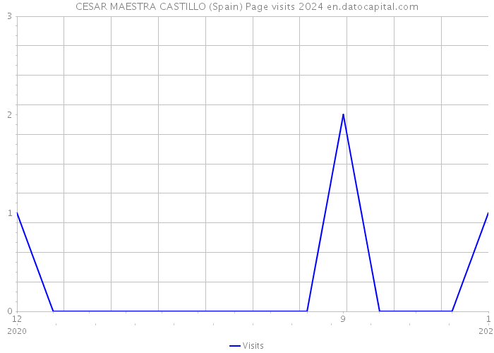 CESAR MAESTRA CASTILLO (Spain) Page visits 2024 