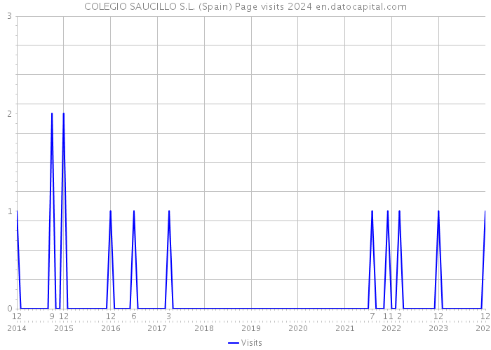COLEGIO SAUCILLO S.L. (Spain) Page visits 2024 