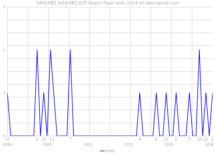 SANCHEZ SANCHEZ,SCP (Spain) Page visits 2024 