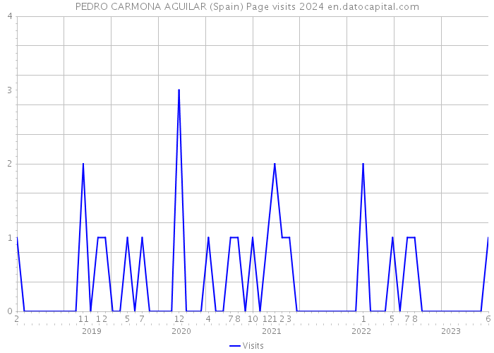 PEDRO CARMONA AGUILAR (Spain) Page visits 2024 