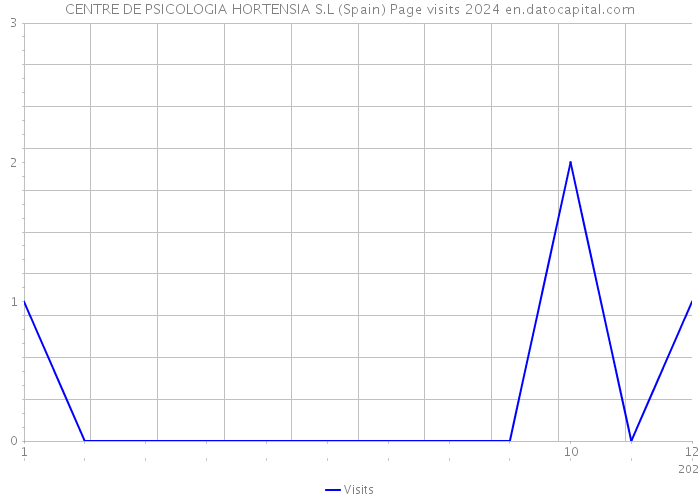 CENTRE DE PSICOLOGIA HORTENSIA S.L (Spain) Page visits 2024 