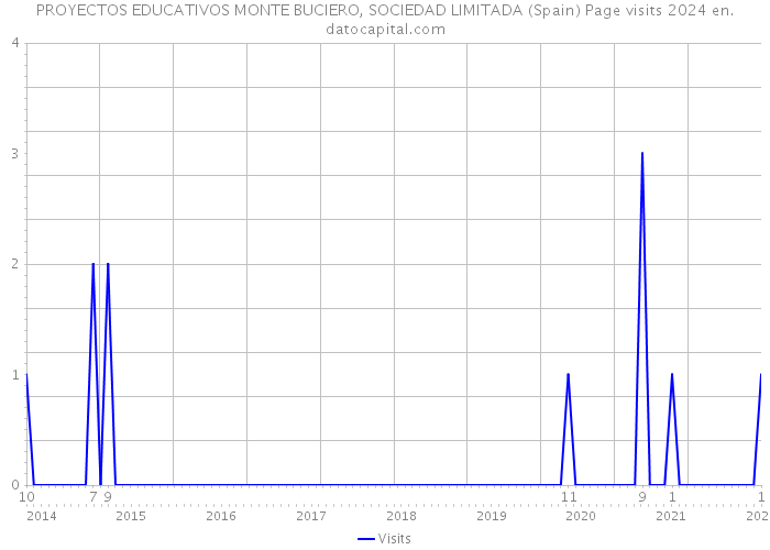 PROYECTOS EDUCATIVOS MONTE BUCIERO, SOCIEDAD LIMITADA (Spain) Page visits 2024 